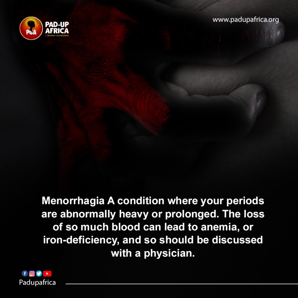 MENSTRUAL RUMOUR WITH PAD UP Img 5139 1024x1024